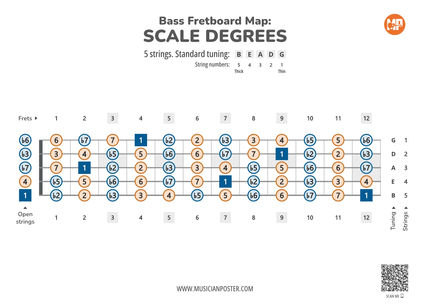 Bass Guitar Scale Chart Printable Bass Guitar Scale Chart Printable