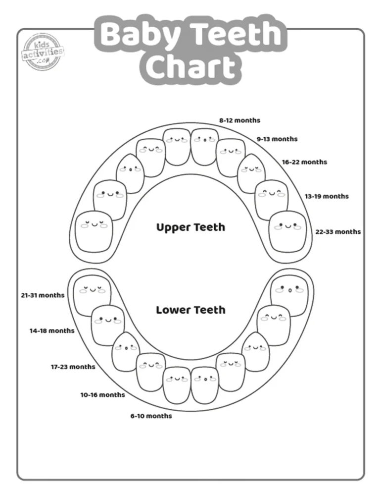 Baby Teeth Chart To Print Kids Activities Blog
