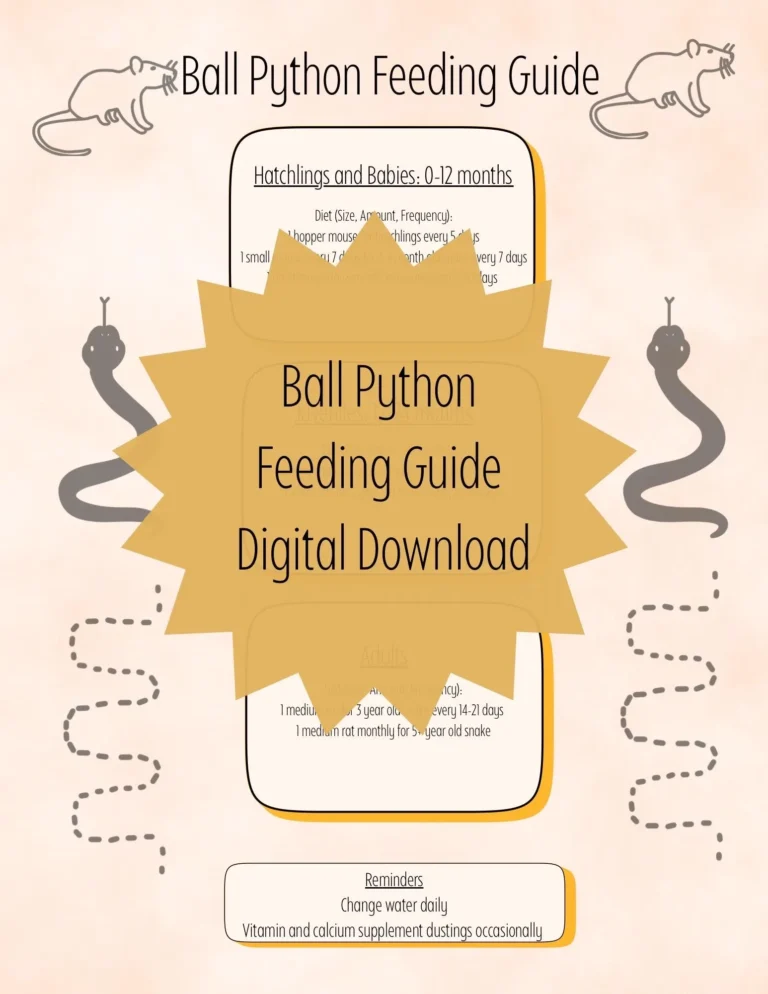 Ball Python Feeding Guide Digital Download Printable Care Sheet Meals Ballies Reptile Snakes Gifts Guides Tank Decor New Pet Cute Etsy