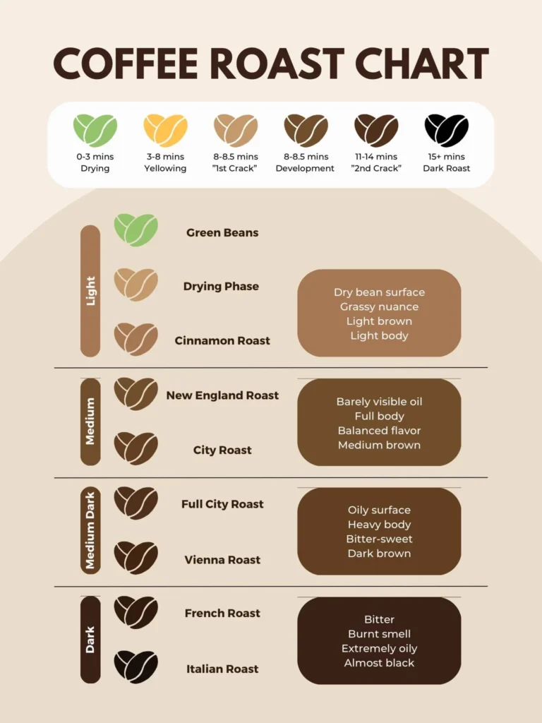 Be The Master 4 Coffee Roasting Levels Chart With Image Guide FNB Coffee Indonesia Green Coffee Beans Supplier