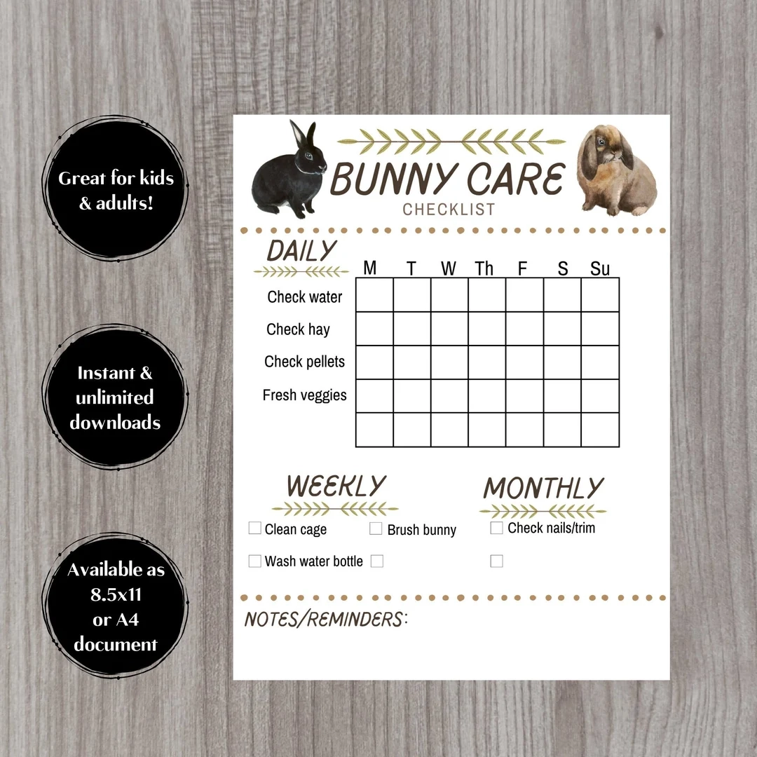 Bunnyanddolly Printable Chore Chart
