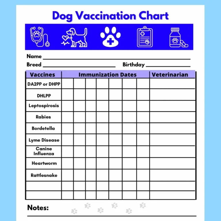 Dog Vaccine Printable Pet Printable Immunization Puppy Vaccinations Dog Health Digital Download Instant Download PDF Etsy