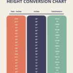 Editable Height Conversion Chart Templates In PDF To Download
