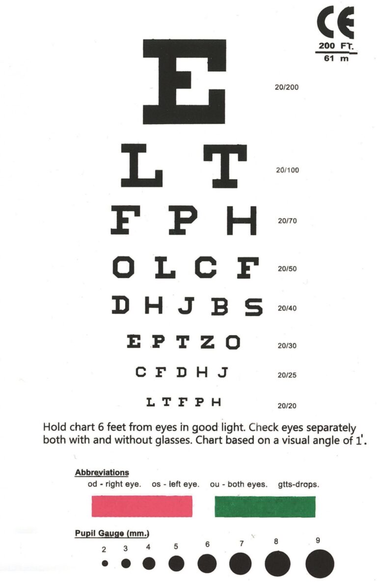 Eye Test Chart Maccoy Pocket Eye Chart Rosenbaum Snellen Dual Side With Pupil Gauge Color Test Snellen Eye Chart