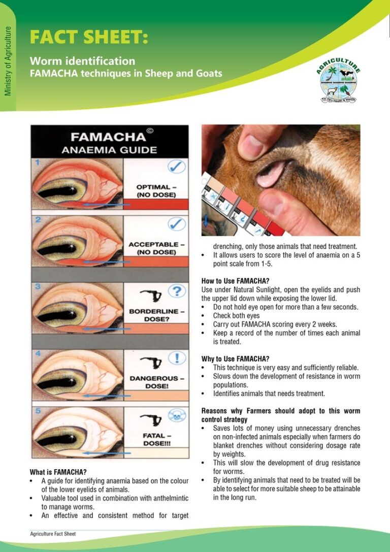 Fact Sheet On Worm Identification FAMACHA Techniques In Sheep And Goats 