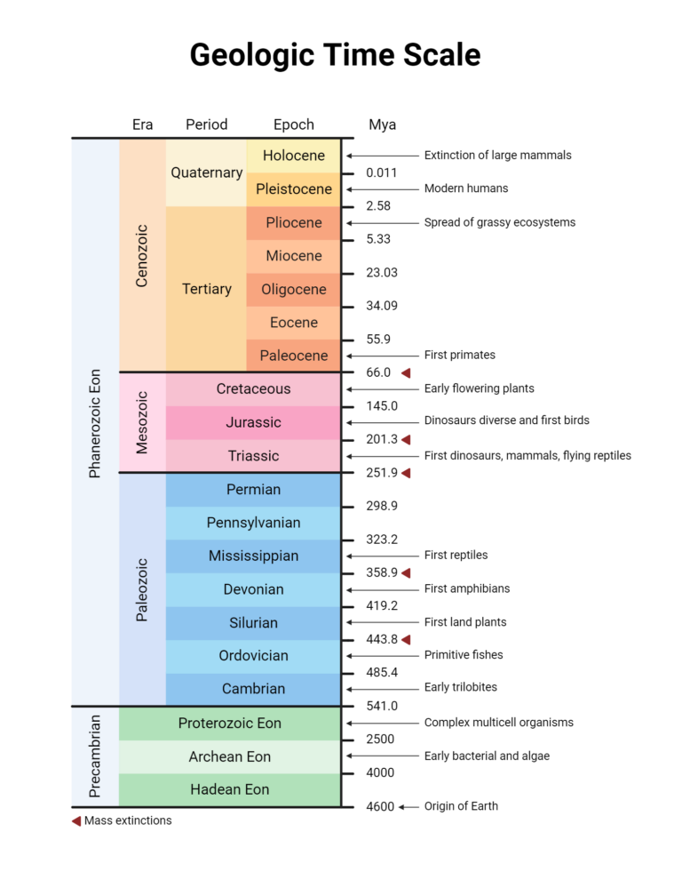 Geologic Time Scale BioRender Science Templates