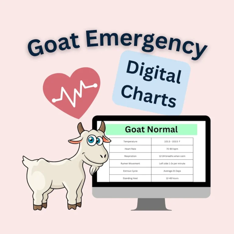 Goat Health Quick Charts Dewormer Antibiotics FAMACHA PDF Etsy Israel