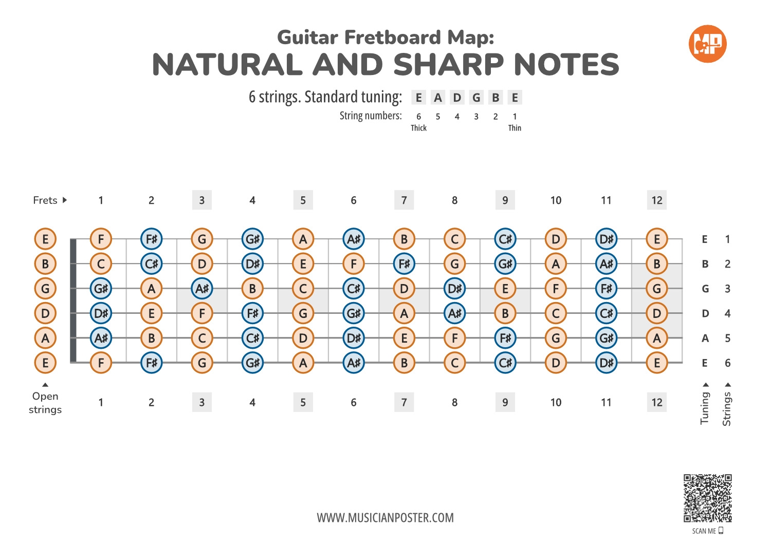 Guitar Neck Chart Printable