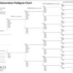 Pedigree Chart Fill Out Printable PDF Forms Online
