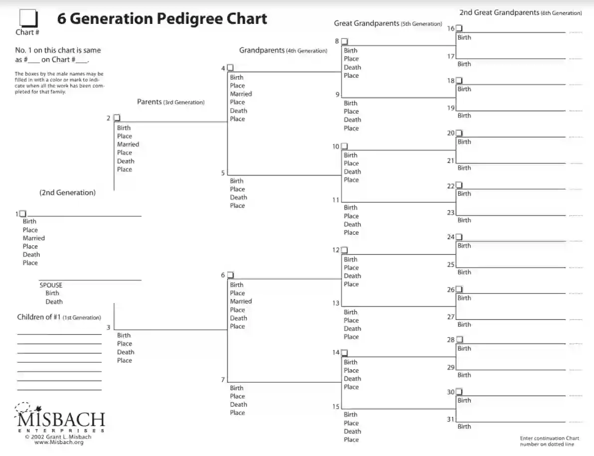 Printable Pedigree Chart