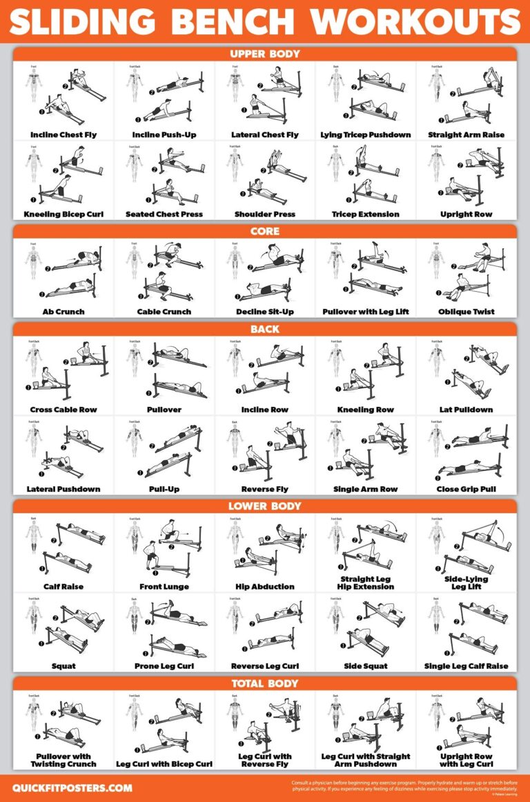 Printable Dumbell And Bench Workout Dumbbell Workout Chart Printable Pdf Dumbbell Workout Dumbbell