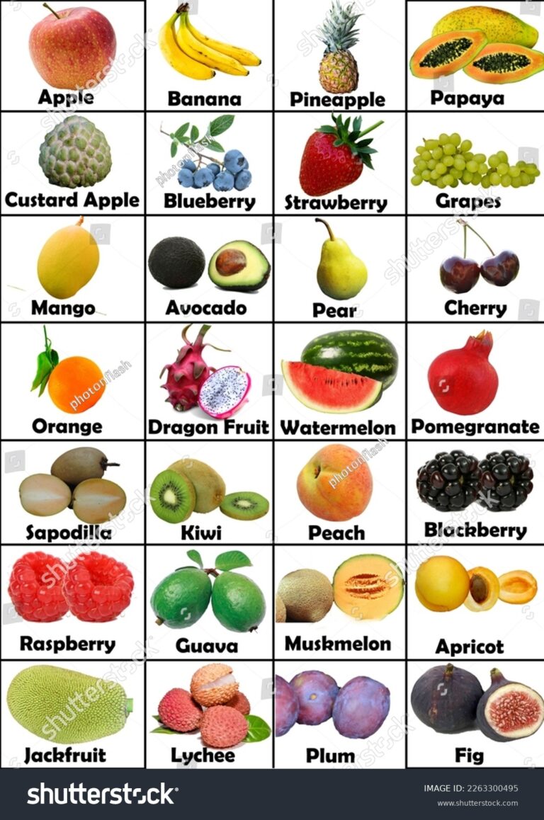 Printable Fruits Chart Kids Learning Stock Illustration 2263300495 Shutterstock