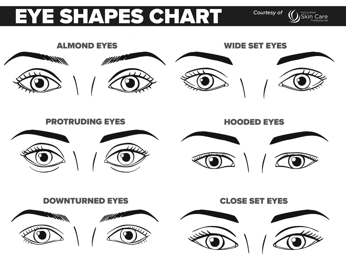 Face Makeup Hooded Chart Printables
