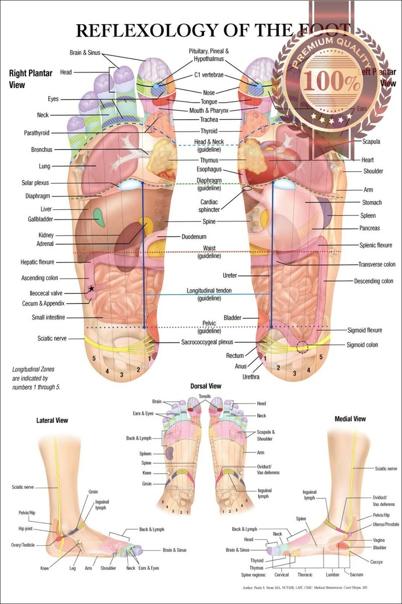 Acupuncture Foot Chart Printable