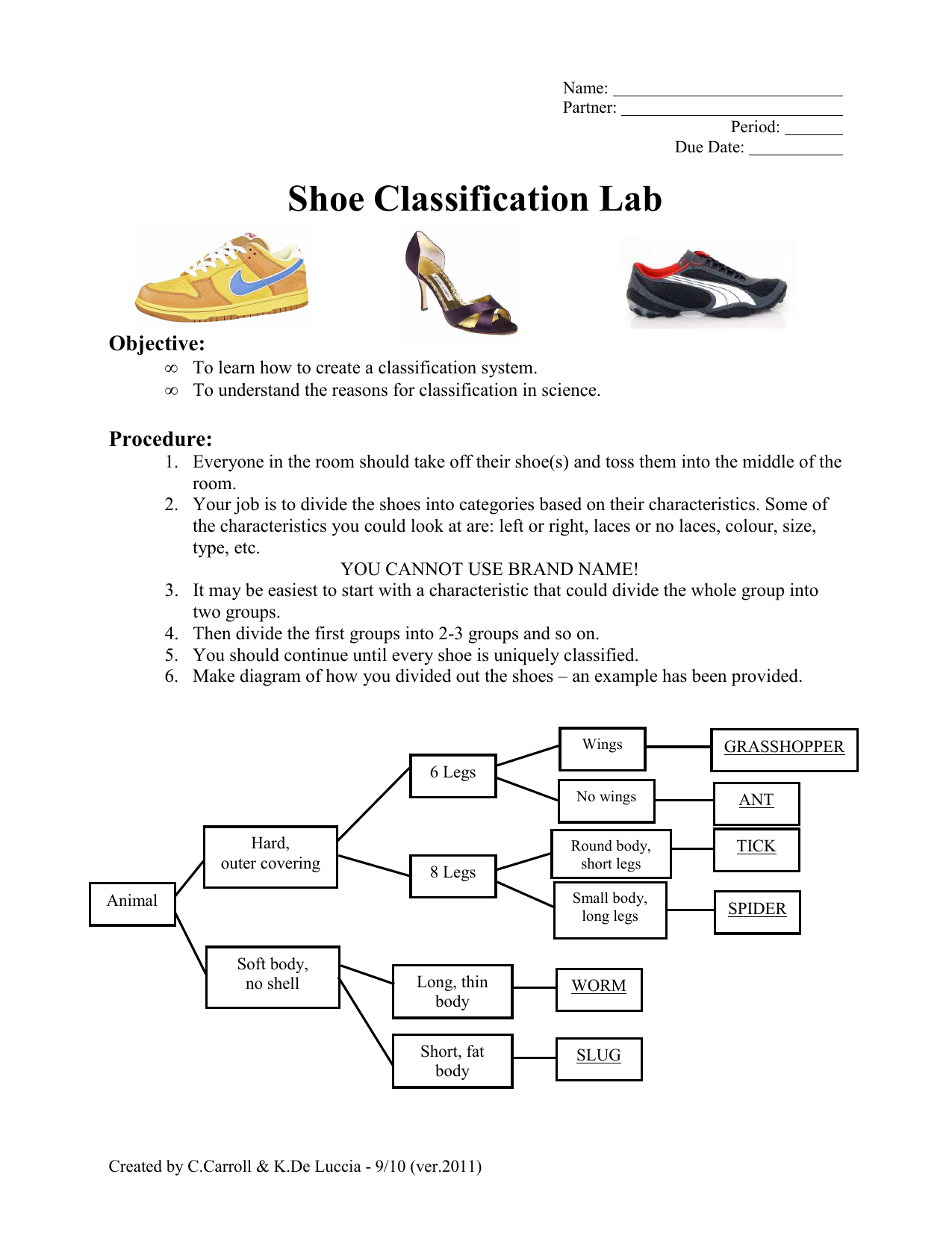 Classification Chart Shoes Worksheet Printable