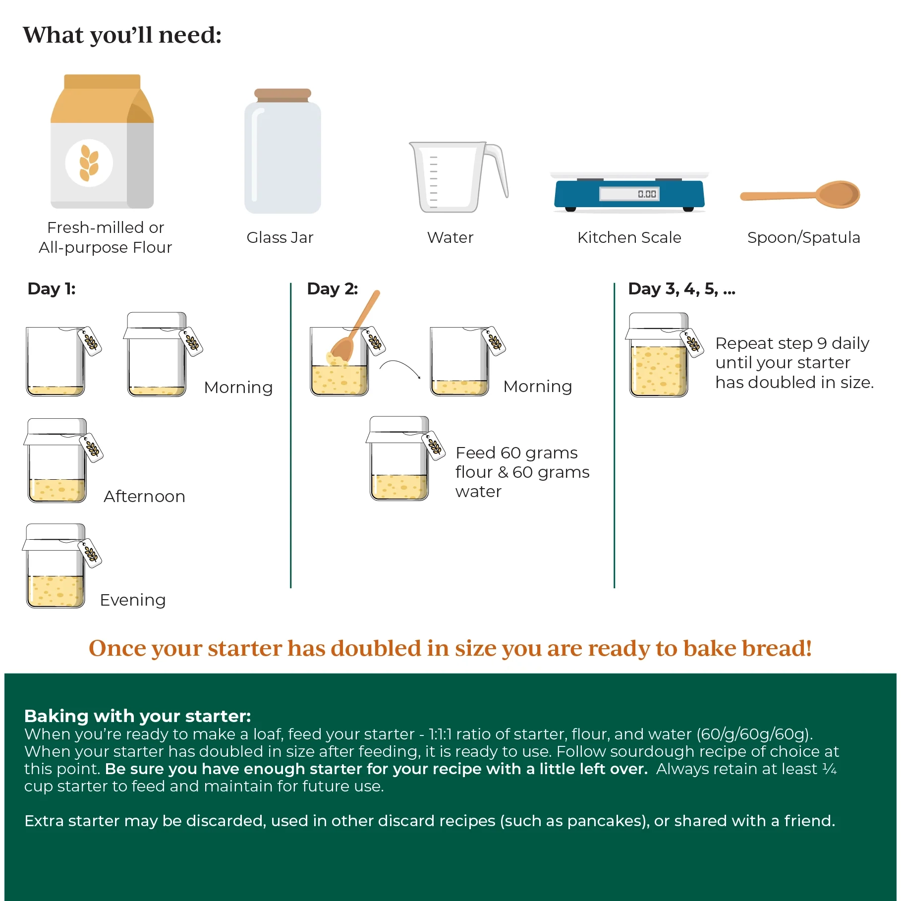 Sourdough Starter Chart Printable