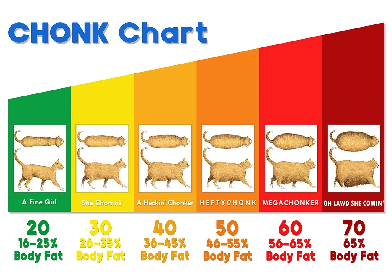 Chonk Chart Printable