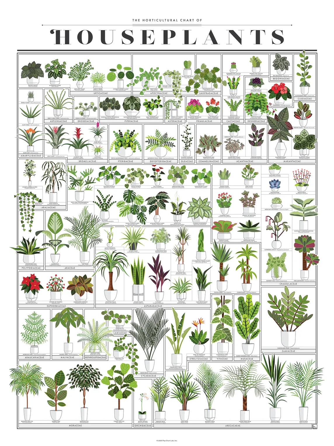Printable House Plant Chart