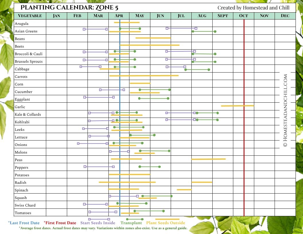 Printable Seed Planting Chart