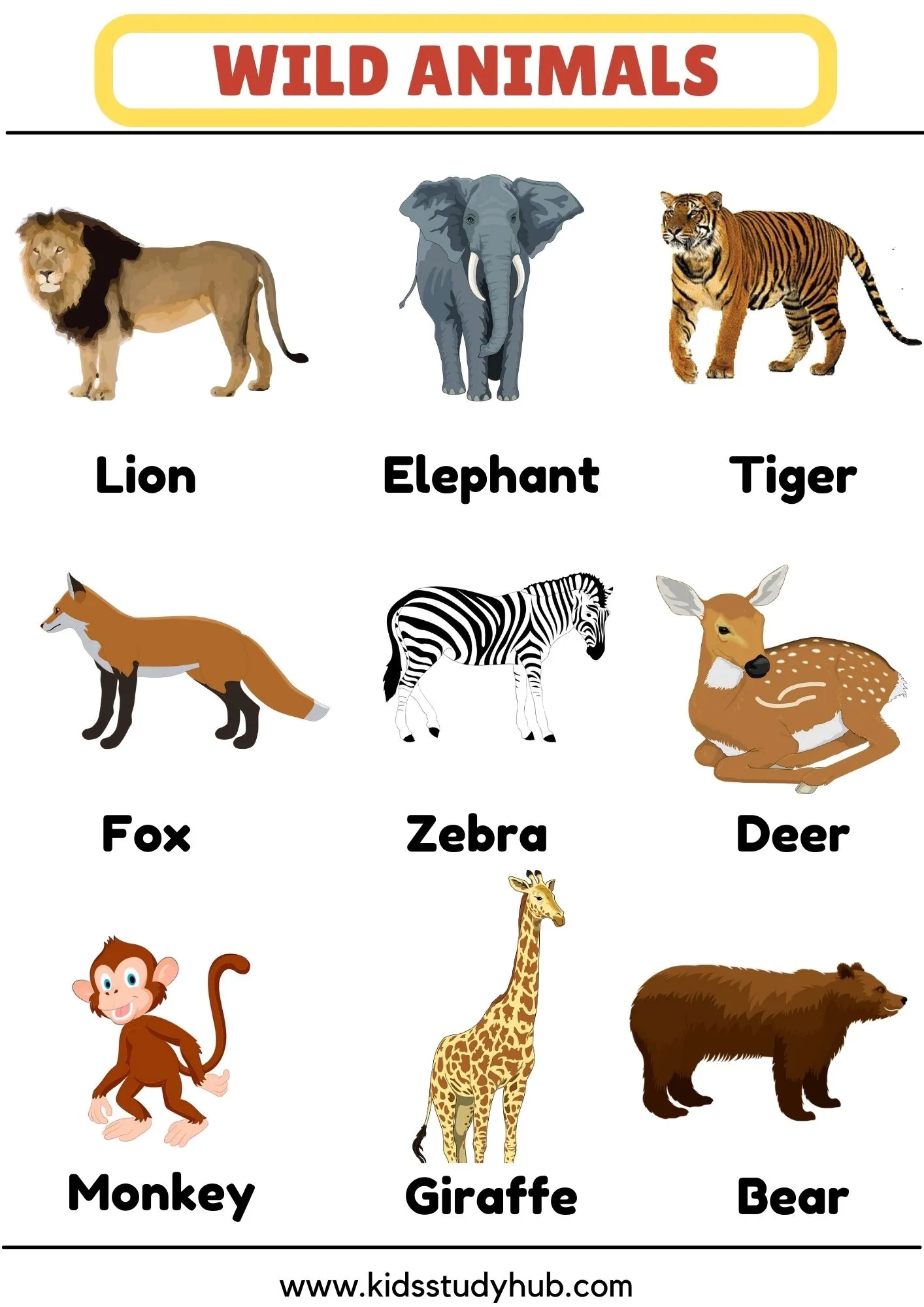 Printable Animal Chart
